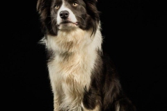 DSC_9400-Edit-scaled.jpg-nggid03382-ngg0dyn-1600x2400x100-00f0w010c010r110f110r010t010