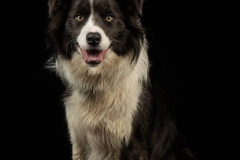 DSC_9404-Edit-scaled.jpg-nggid03381-ngg0dyn-1600x1200-00f0w010c010r110f110r010t010