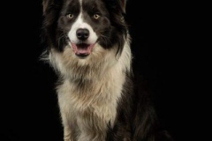 DSC_9404-Edit-scaled.jpg-nggid03381-ngg0dyn-800x600-00f0w010c010r110f110r010t010