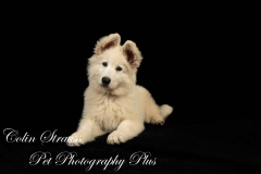 DSC_9418-Edit-scaled.jpg-nggid03378-ngg0dyn-2560x1707x100-00f0w010c010r110f110r010t010