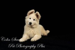 DSC_9418-Edit-scaled.jpg-nggid03378-ngg0dyn-480x320x100-00f0w010c010r110f110r010t010