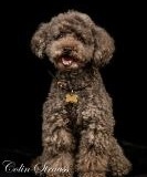 DSC_9480-Edit-scaled.jpg-nggid03371-ngg0dyn-200x200x100-00f0w010c010r110f110r010t010