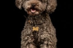 DSC_9480-Edit-scaled.jpg-nggid03371-ngg0dyn-400x400x100-00f0w010c010r110f110r010t010