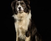 thumbs_DSC_9400-Edit-scaled