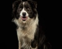 thumbs_DSC_9404-Edit-scaled