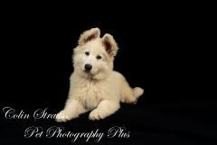 thumbs_DSC_9418-Edit-scaled