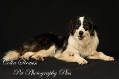 thumbs_DSC_9435-Edit-scaled