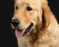 thumbs_DSC_9448-Edit-scaled