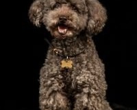 thumbs_DSC_9480-Edit-scaled