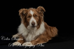 1_DSC_9408-Edit-scaled