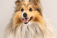 Recovered_jpg_file25651-1