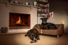 Recovered_jpg_file25863