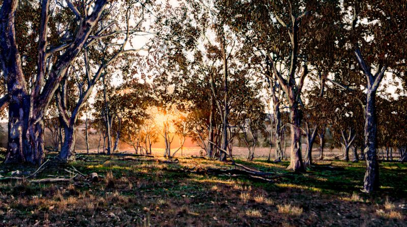 Sunset and Dust